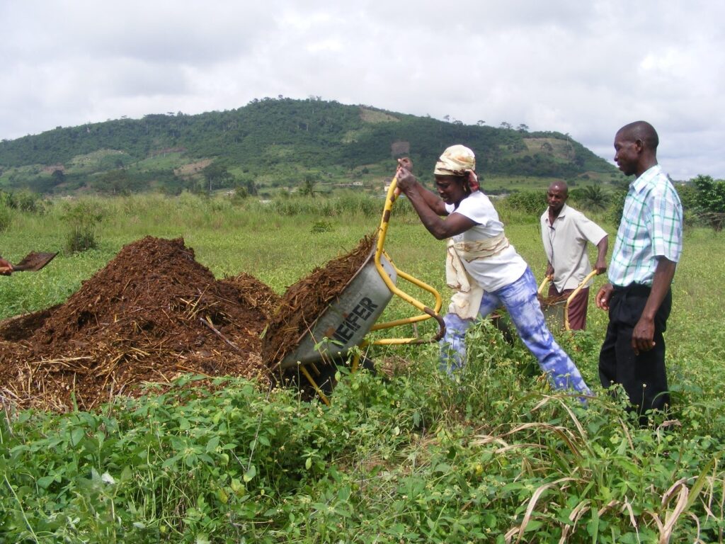 SUSTAINABLE ENVIRONMENTAL MANAGEMENT PRACTICES