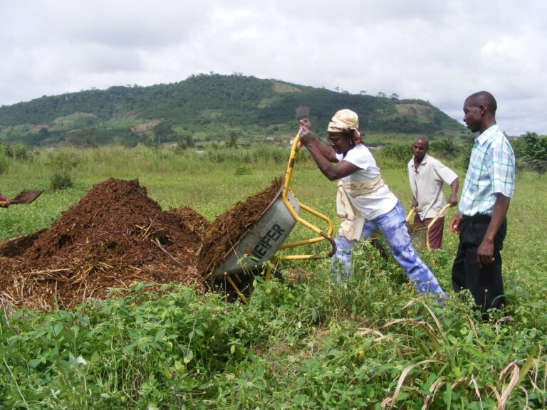 SUSTAINABLE ENVIRONMENTAL MANAGEMENT PRACTICES
